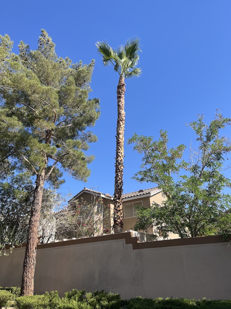Royal tree service