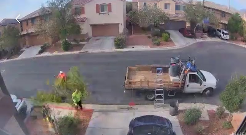 Royal tree service