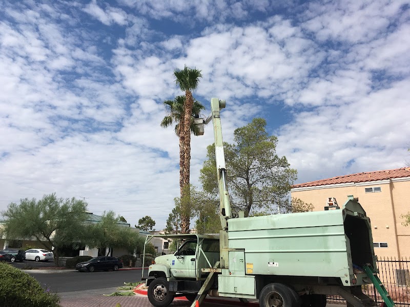 Royal tree service