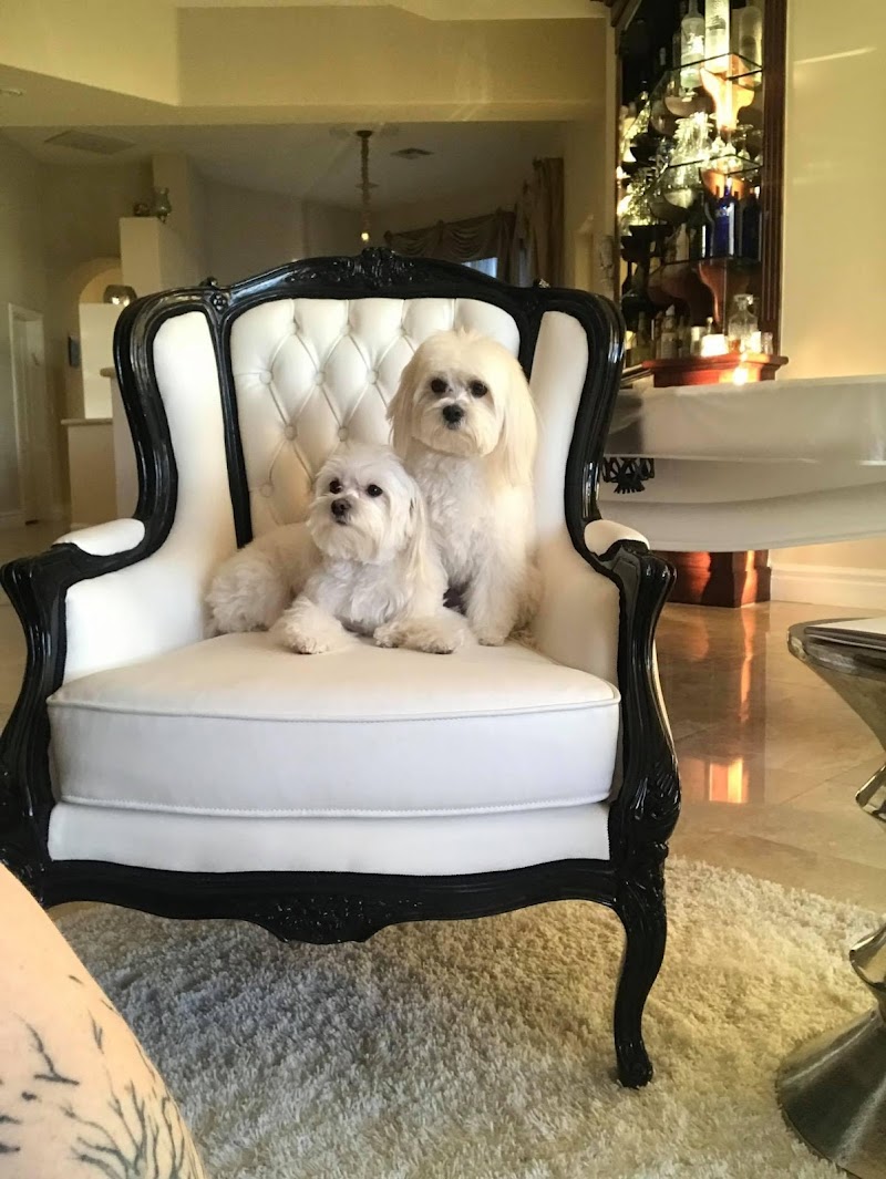 Bow Wow Meow Pet Grooming