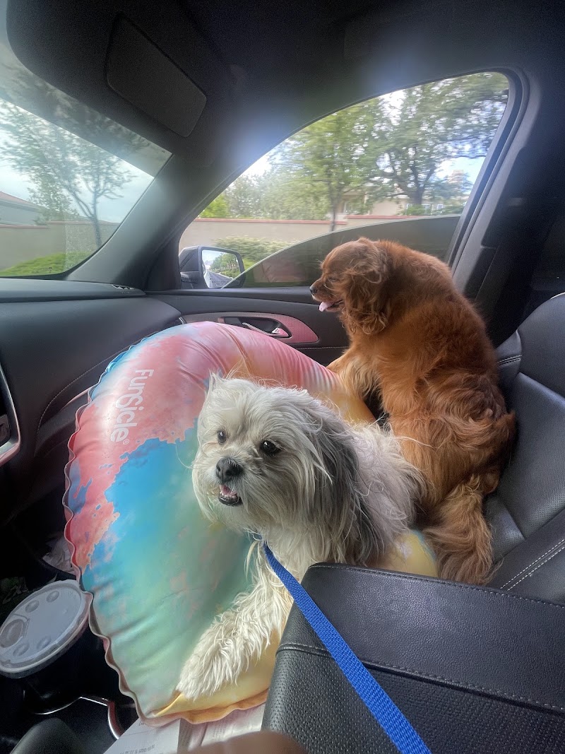 Love A Pup Dog Grooming, Daycare, & Boarding