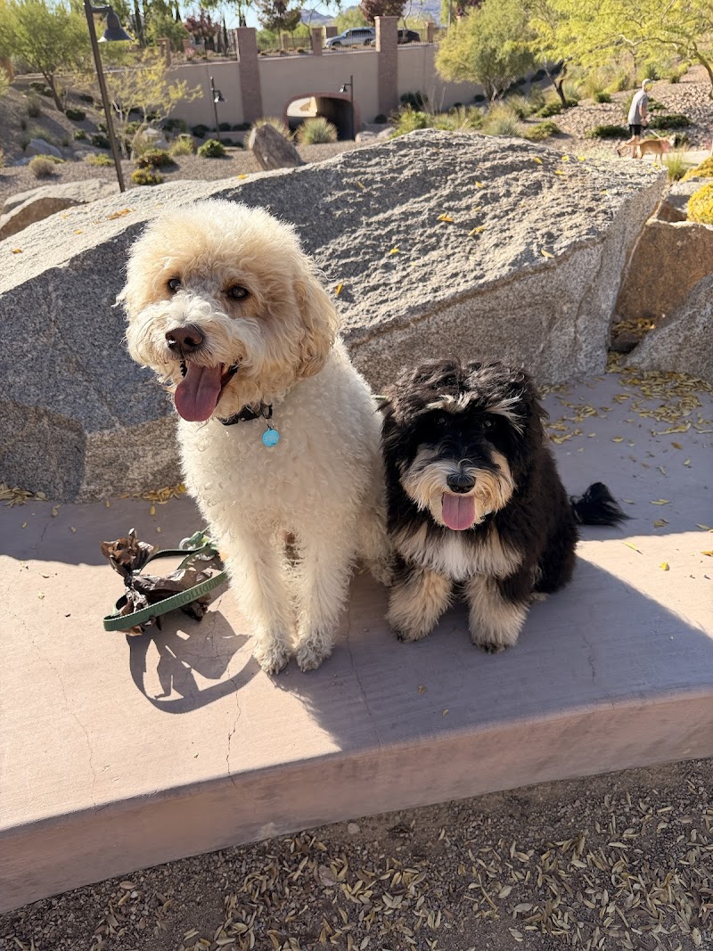 Love A Pup Dog Grooming, Daycare, & Boarding