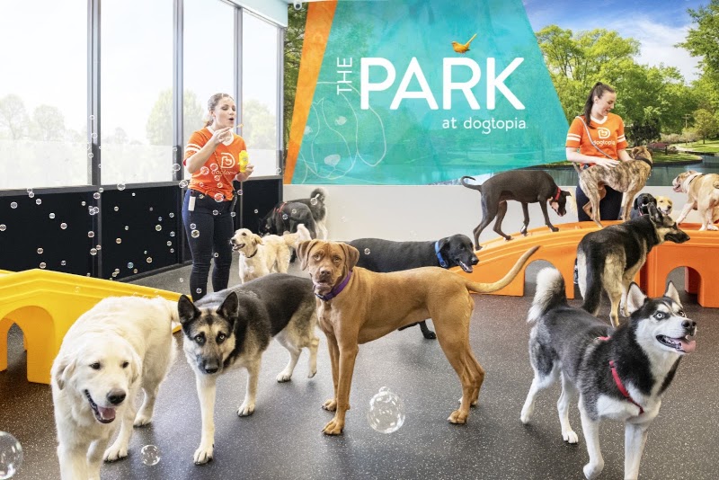 Dogtopia of Sun City - Las Vegas