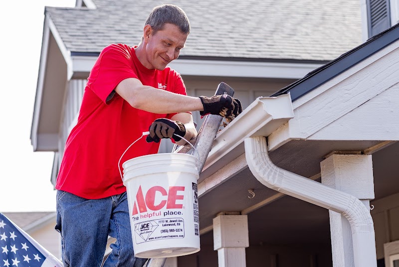 Ace Handyman Services Las Vegas West