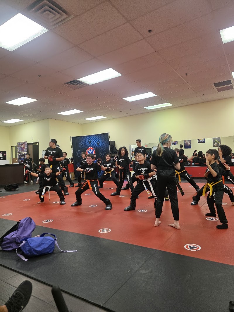 Victory Martial Arts - Tenaya