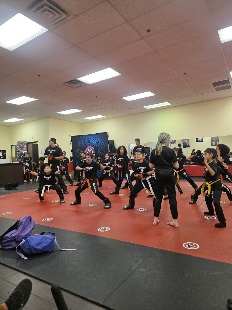 Victory Martial Arts - Tenaya