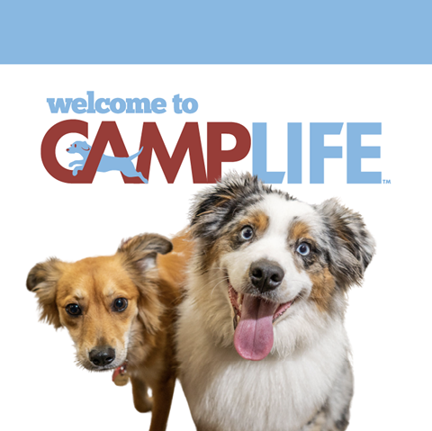 Camp Bow Wow Summerlin