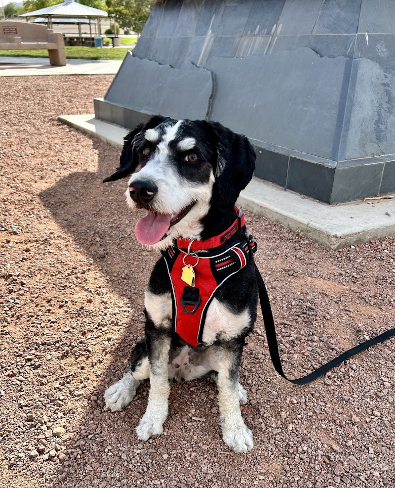 Camp Bow Wow Summerlin
