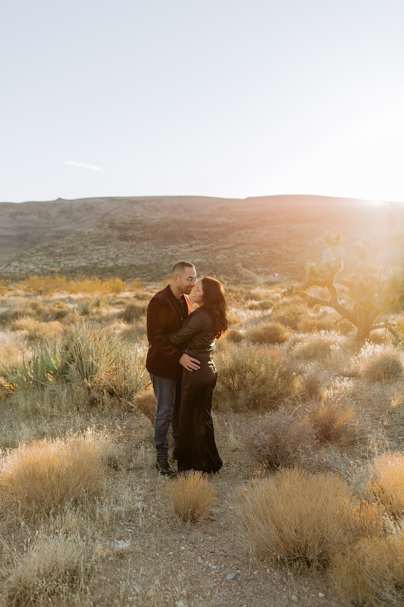 Stephanie Barrett Photography
