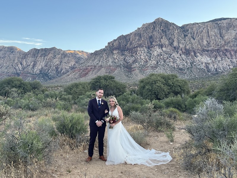 Cactus Collective Weddings