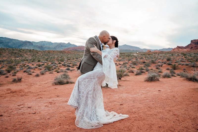 Cactus Collective Weddings