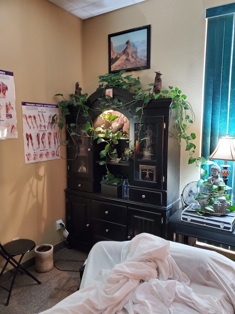 Proactive Health Therapeutic Services