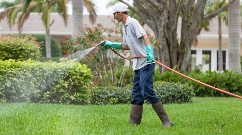 NEWMANS PEST CONTROL