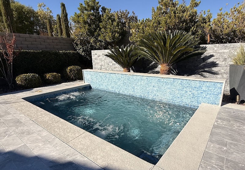 Pineapple Pool Service