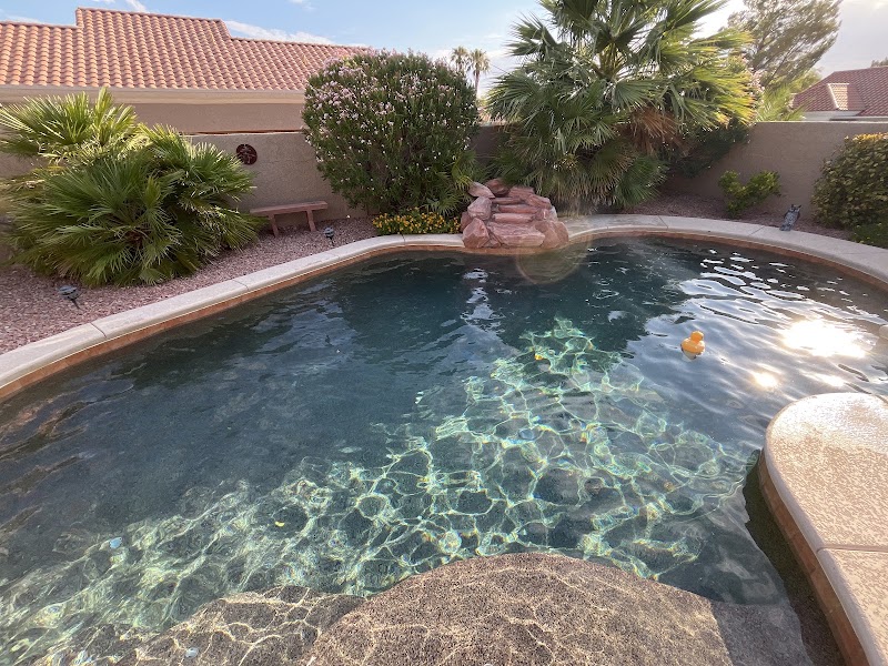 Pineapple Pool Service