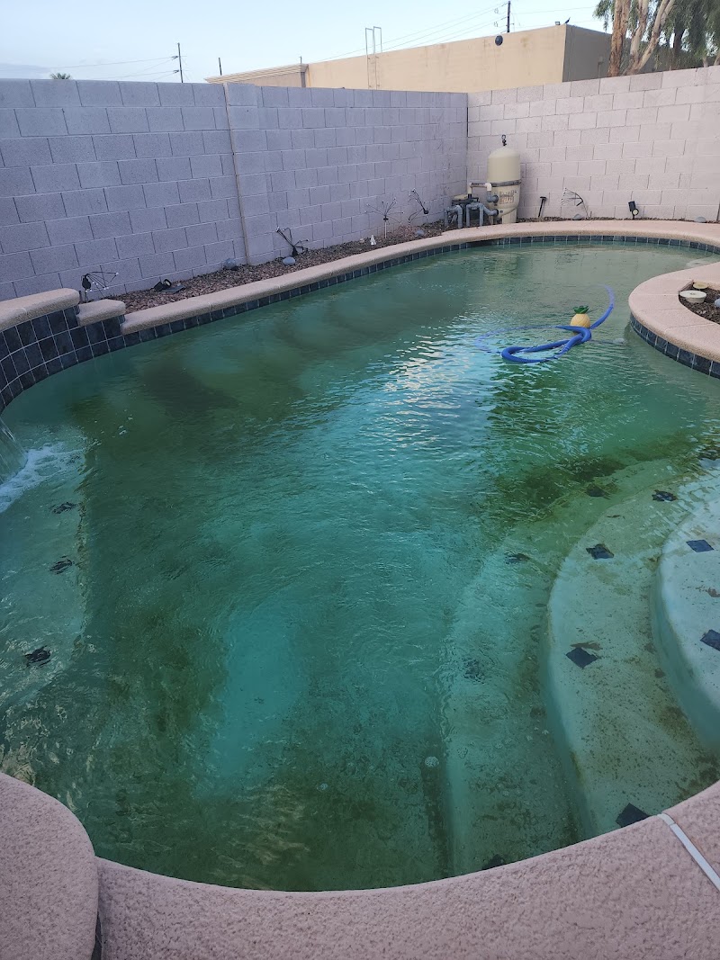 Pineapple Pool Service